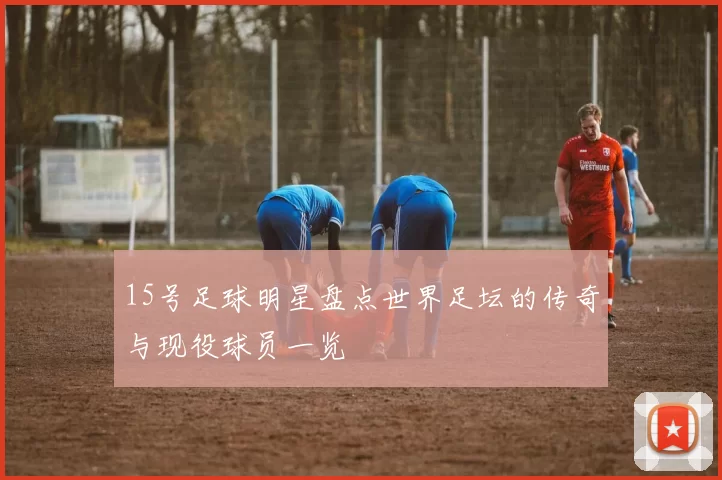 15号足球明星盘点世界足坛的传奇与现役球员一览