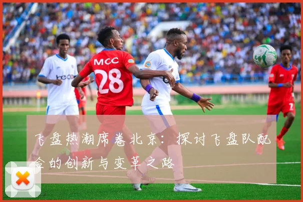 飞盘热潮席卷北京：探讨飞盘队配合的创新与变革之路