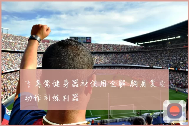 飞鸟凳健身器材使用全解 胸肩复合动作训练利器