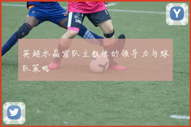 英超水晶宫队主教练的领导力与球队策略