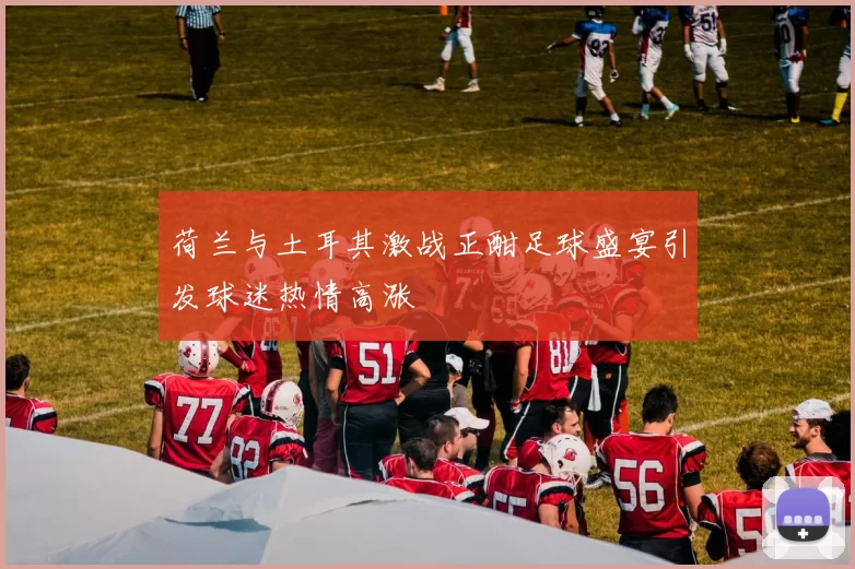 荷兰与土耳其激战正酣足球盛宴引发球迷热情高涨