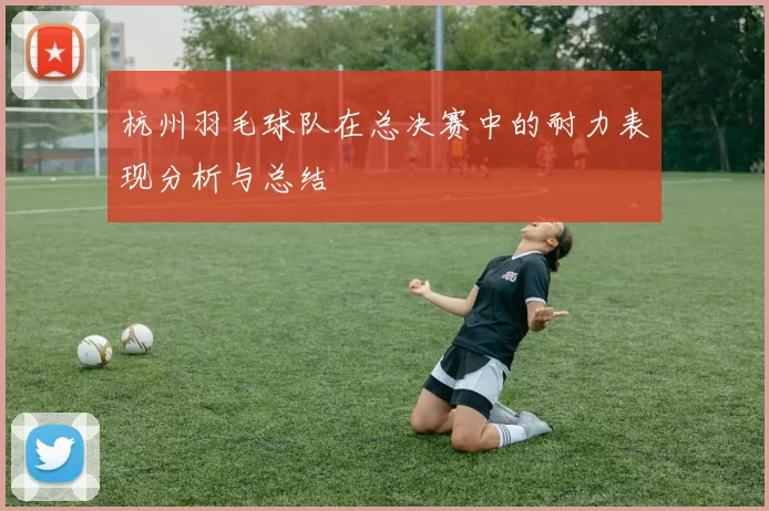杭州羽毛球队在总决赛中的耐力表现分析与总结