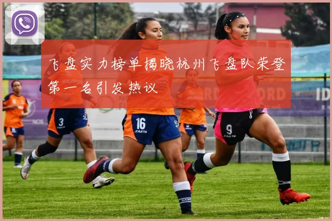 飞盘实力榜单揭晓杭州飞盘队荣登第一名引发热议