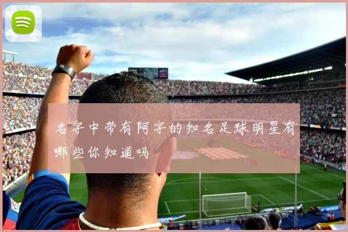 名字中带有阿字的知名足球明星有哪些你知道吗
