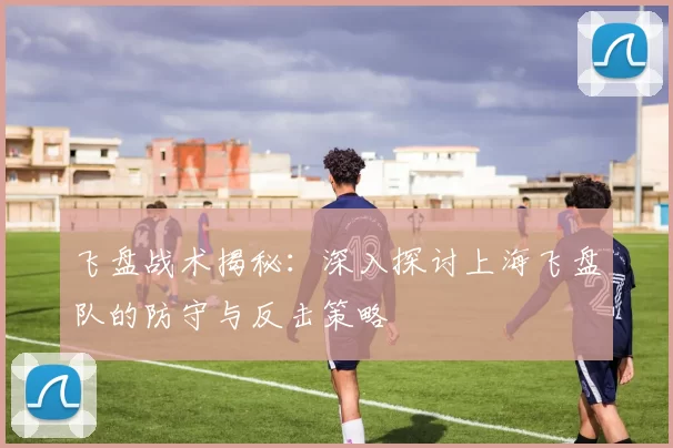 飞盘战术揭秘：深入探讨上海飞盘队的防守与反击策略
