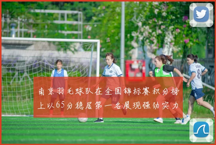 南京羽毛球队在全国锦标赛积分榜上以65分稳居第一名展现强劲实力