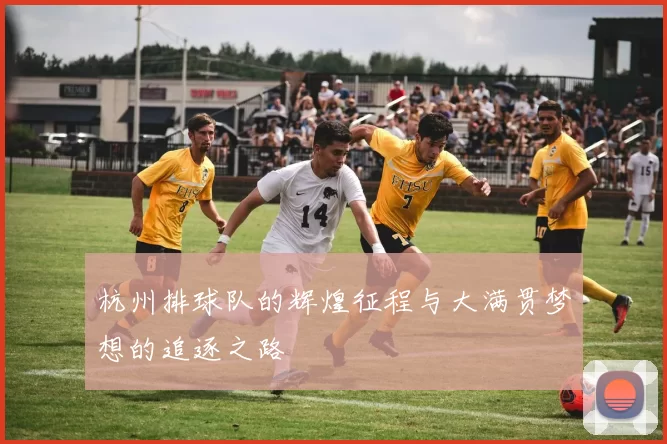 杭州排球队的辉煌征程与大满贯梦想的追逐之路