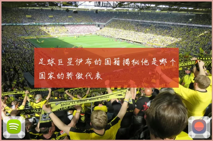 足球巨星伊布的国籍揭秘他是哪个国家的骄傲代表