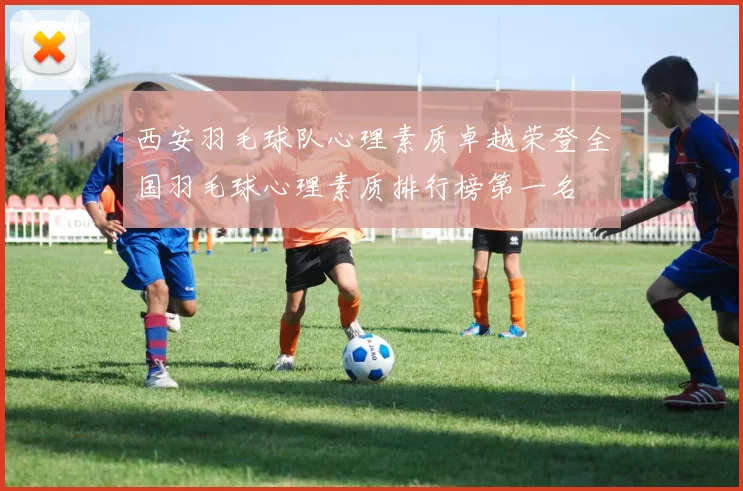 西安羽毛球队心理素质卓越荣登全国羽毛球心理素质排行榜第一名