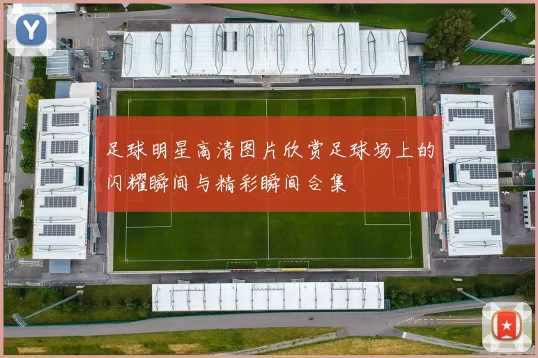 足球明星高清图片欣赏足球场上的闪耀瞬间与精彩瞬间合集