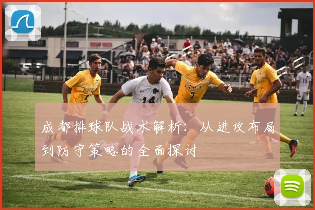 成都排球队战术解析：从进攻布局到防守策略的全面探讨