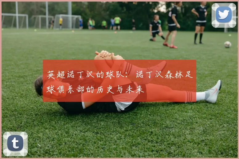 英超诺丁汉的球队：诺丁汉森林足球俱乐部的历史与未来