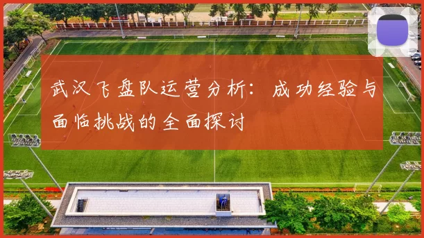 武汉飞盘队运营分析：成功经验与面临挑战的全面探讨
