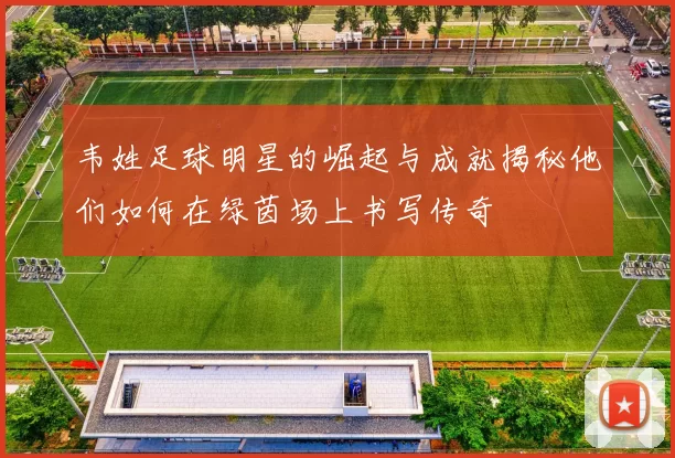 韦姓足球明星的崛起与成就揭秘他们如何在绿茵场上书写传奇