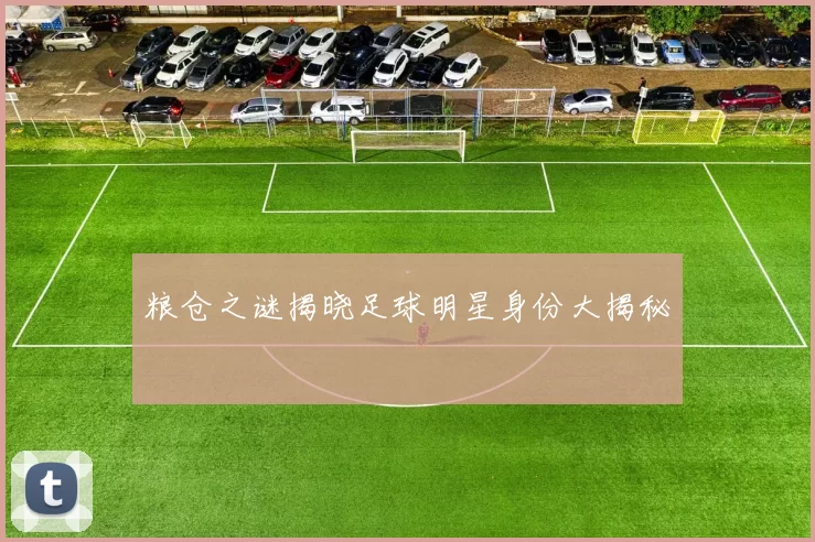 粮仓之谜揭晓足球明星身份大揭秘