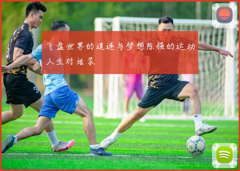 飞盘世界的追逐与梦想陈强的运动人生对话录