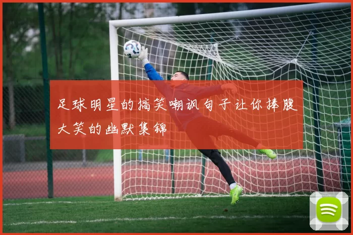 足球明星的搞笑嘲讽句子让你捧腹大笑的幽默集锦